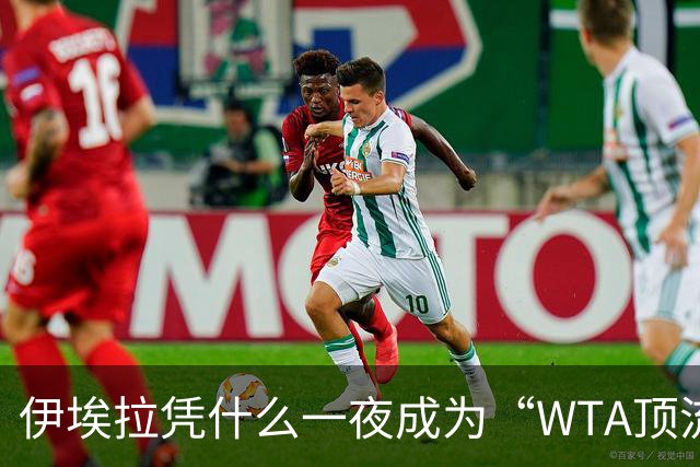 伊埃拉凭什么一夜成为“WTA顶流”、扛把子？郑钦文差在哪里？